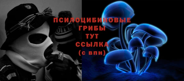 не бодяженный Арсеньев