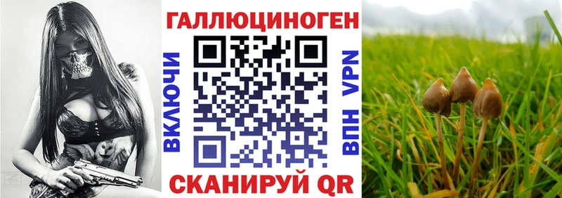 где купить наркоту  Чудово  Галлюциногенные грибы прущие грибы 